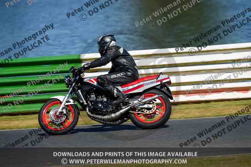 Vintage motorcycle club;eventdigitalimages;mallory park;mallory park trackday photographs;no limits trackdays;peter wileman photography;trackday digital images;trackday photos;vmcc festival 1000 bikes photographs